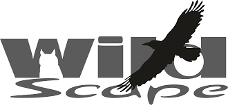 WildScape