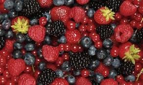 Image result for berries meaning