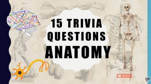 If you can ace this general knowledge quiz, you know more t. 15 Trivia Questions The Human Brain Youtube