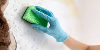 Learn how to repair ceiling stains in this video tutorial. How To Remove Water Stains From Walls And Ceilings