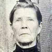 Mary Ann Blevins (1830–1907)