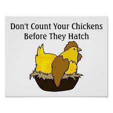 Don T Count Your Chickens Before They Hatch Poster Zazzle Com In 2021 Chickens Chicken Signs Chicken Art