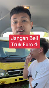 Tips Membeli Truk Euro 4 dan Canter Mania