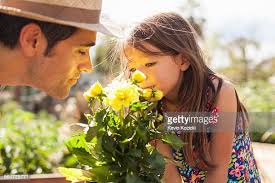 1.339 California Agriculture Family Stock Photos, High-Res Pictures, and  Images