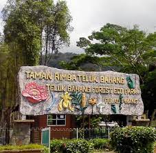 How can i contact tony's guesthouse at teluk bahang? Taman Rimba Teluk Bahang Penang I Love Travelling æˆ'çˆ±æ—…è¡Œ Facebook