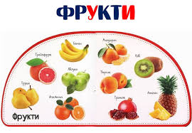 Стіна слів "Світ рослин"