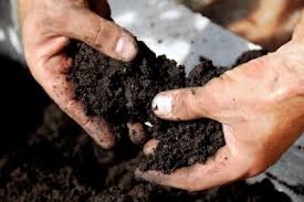 Its a blend of forest humus, sandy loam, and sphagnum peat moss. Create The Best Soil Mixes For Your Indoor And Raised Gardens Off The Grid News