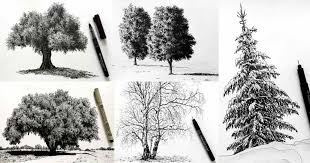 I didn't explain any steps but. How To Draw Realistic Trees With Pen Ink Ran Art Blog