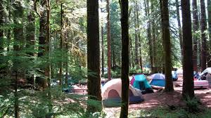 Olympic national park camping reservations. No Reservations No Problem A Panic Free Guide To Camping On The Fly Parentmap