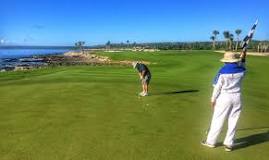 Image result for how many golf courses in dominican republic