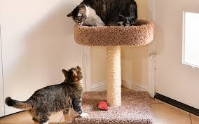How to make a cat tree. Diy Cat Tree The Home Depot