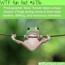 Pin On Wtf Fun Facts
