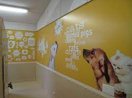 Animal Humane Society Sussner Design Company Animal Shelter Design Shelter Design Animal Rescue Center