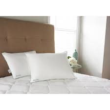Reviews For Isotonic Memory Foam Traditional Pillow 031374521457 The Home Depot
