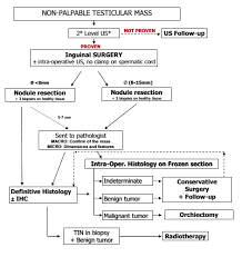 Diagnostic And Surgical Flow Chart For Management Of Not