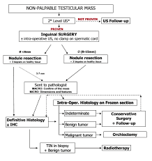 diagnostic and surgical flow chart for management of not