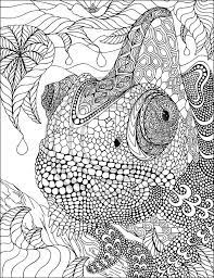 Iguana Ausmalbilder Kostenlose Ausmalbilder Ausmalbilder Zum Ausdrucken