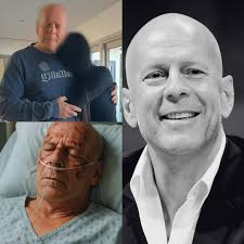 Adorable cat personalities and appearances