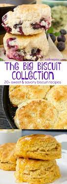 The Big Biscuit Recipe Roundup Collection Recipes For Breakfast Or Dinner That Your Family Will Love Even Biscuit Recipe Big Biscuit Recipe Healthy Biscuits