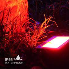 Rgb Led Floodlight Video In 2021 Led Flood Led Flood Lights Flood Lights