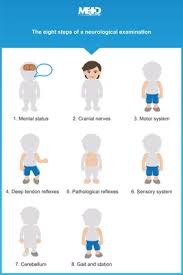 Image result for Motor Exam