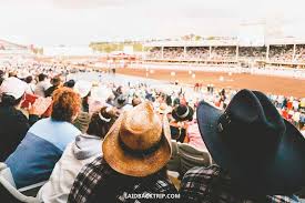 Bleacher seating for 1,300 guests A Guide To Calgary Stampede Everything You Need To Know Laidback Trip