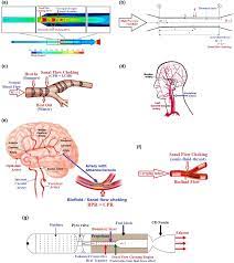 Discovery Of Nanoscale Sanal Flow Choking In Cardiovascular System Exact Prediction Of The 3d Boundary Layer Blockage Factor In Nanotubes Scientific Reports