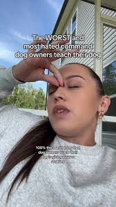 Owner Asking Dog for Paw over and over