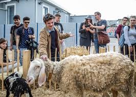 Image result for women at a petting zoo