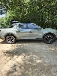 Image result for Sage Gray 2023 Santa Cruz