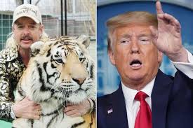 Joe exotic's former business partner jeff lowe made disturbing allegations against him to dailymailtv. Joe Exotic Misses Out On Pardon From Donald Trump As President Releases 70 From Jail Mirror Online