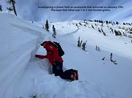 The inflated backpack will increase your volume as well as you chances of staying on the surface and not. Avalanche Corner Fac Blog Flathead Avalanche Center