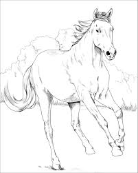 Mustang Mare Coloring Page Horse Coloring Pages Horse Coloring Horse Coloring Books