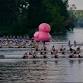 Lenny Peters Cup & NC Rowing Championships