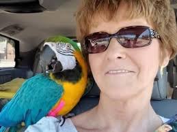 Fundraiser for Jodi Andrews by Beth Enochs : Help Jodi with home rebuild  and funeral expenses