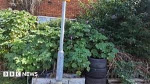 Porno sugoimeg that woman went the extra mile to make me