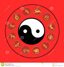 Chinese Astrology Chinese Astrology Astrology Yin Yang