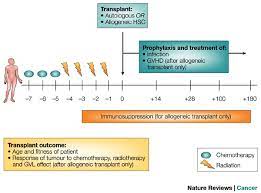 The other two sources are bone marrow and peripheral blood stem cells. Umbilical Cord Blood Transplantation For The Treatment Of Cancer Nature Reviews Cancer