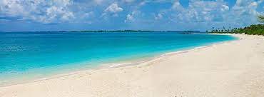 Do you see any omissions, errors or want to add information to this page? Paradise Island Beach Club Updated 2021 Prices Resort Reviews And Photos Bahamas Tripadvisor