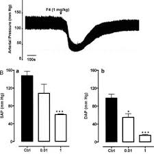 Image result for Agelanthus krausei