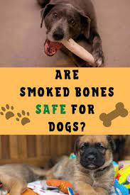 Are Smoked Bones Safe For Dogs Avoid Some Products