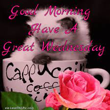 Wish your loved ones a fantastic morning in a creative way! Top 10 Best Good Morning Wednesday Quotes Gifs Good Morning Wednesday Wednesday Quotes Good Morning