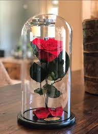 Red With Crystal Dust Heart Shape Preserved Rose Beauty And The Beast Glass Dome Rose Dome Glass Domes Beauty And The Beast