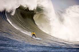 We did not find results for: Surfing Wikipedia