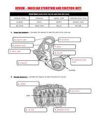 The ear contains the organs for both balance and hearing. Inner Ear Anatomy Structure Function Of Balance Hs Ls1 A Tpt