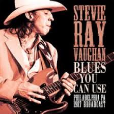 Family style, stevie ray's duet album with jimmie, appeared in october and entered the charts at number seven. Stevie Ray Vaughan Blues You Can Use Cd Leeway S Home Grown Music Network