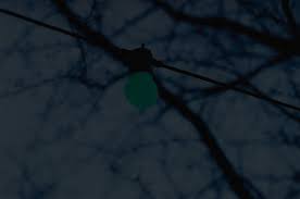 Bildergebnis für Maria Kourkouta