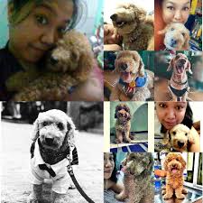 Our lady! Nakakamiss! Done with my second vessel audit for this month.  Thank you Captain Scott and Chief Raul! ❤️