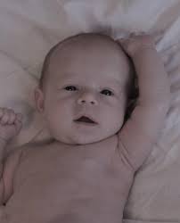 Layne Ford (@lford620) • Instagram photos and videos