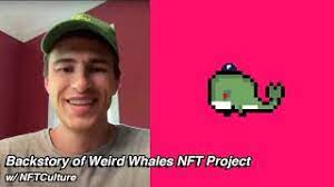 Backstory Of The Weird Whales Nft Project Nft Culture
